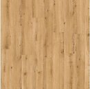 Фото IVC Solida Acoustic European Oak 04270