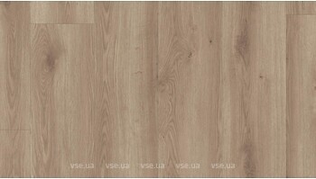 Фото Tarkett Starfloor Click Solid30 Contemporery Oak Natural (36010002)