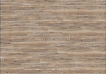 Фото Wineo 400 Wood L Coast Pine Taupe (DB284WL)