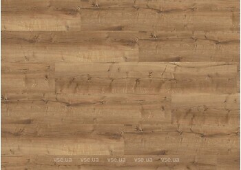 Фото Wineo 400 Wood XL Comfort Oak Mellow (RLC129WXL)
