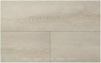 Фото Firmfit Discovery 33/5 EW 2964