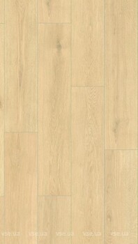 Фото Rocko Vigra Oak R172