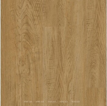 Фото Tarkett Express Oak Modern Nature (257067001)