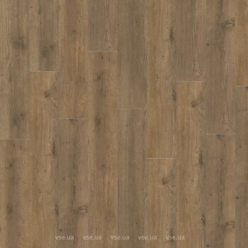 Фото IVC Eterna Acoustic Major Oak (5855)