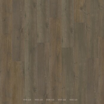Фото IVC Eterna Acoustic Major Oak (5871)