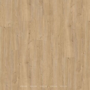 Фото IVC Eterna Acoustic Sebastian Oak (5325)