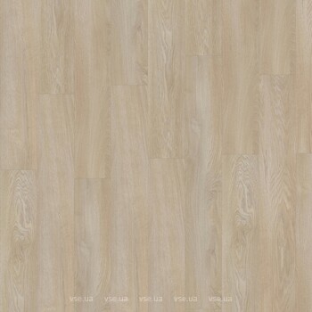 Фото IVC Eterna Acoustic Somerset Oak (5333)