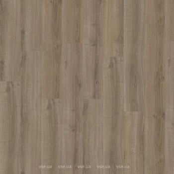 Фото IVC Eterna Acoustic Summer Oak (5859)