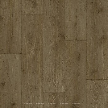 Фото Beauflor Harmony Forest Oak 221M