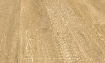 Фото Falquon Wood Nature Oak P6004