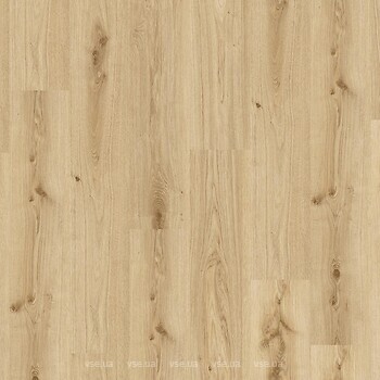 Фото Tarkett Living 55 Primary Oak Light Brown (280064005)