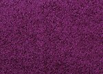 Ковролін Condor Carpets