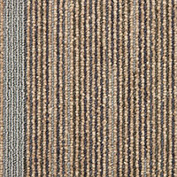 Фото Domo ковровая плитка Modulyss Shine-up 139