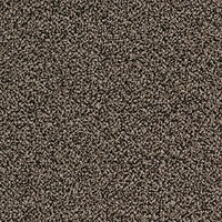 Фото Desso ковровая плитка Sand 9096