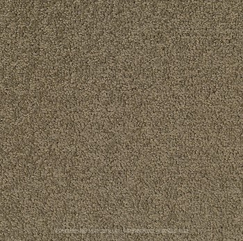 Фото Desso ковровая плитка Palatino 2929