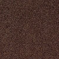 Фото Desso ковровая плитка Torso 2042