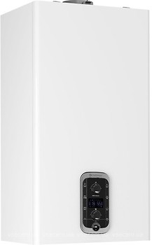Фото Chaffoteaux Mira Advance Link 25