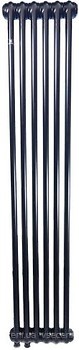 Фото Delonghi Multicolumn 2000 Matt 6 секцій 2 колони