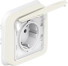 Фото Legrand Розетка Plexo (069869) з кришкою