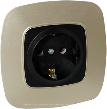 Фото Horoz Electric Розетка ELA 112-007-0006-040 одинарна з заземленням чорна, золота