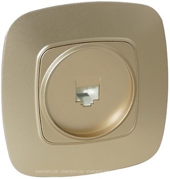 Фото Horoz Electric Розетка ELA 112-007-0011-030 комп'ютерна одинарна золота