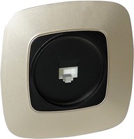 Фото Horoz Electric Розетка ELA 112-007-0011-040 комп'ютерна одинарна чорна, золота