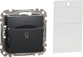 Фото Schneider Вимикач з ключем-карткою Sedna Design & Elements (SDD114121)