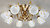 Фото Brille LK-167S/6
