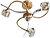 Фото Brille BR-371S/3 GOLD