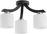 Фото TK Lighting Tytus 225