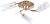 Фото Brille LK-89S/3 E14 FG
