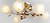 Фото Brille LK-459S/6 E27 G