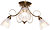 Фото Brille LK-268C/3 E14