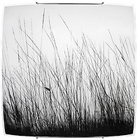 Фото Nowodvorski Black Grass (5652)