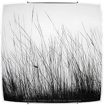 Фото Nowodvorski Black Grass (5652)