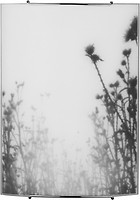 Фото Nowodvorski Thistles (5617)