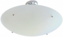 Фото Brille 1004/6 PL