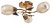 Фото Brille LK-462S/3 G