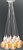 Фото Levistella 7527020-10 WH
