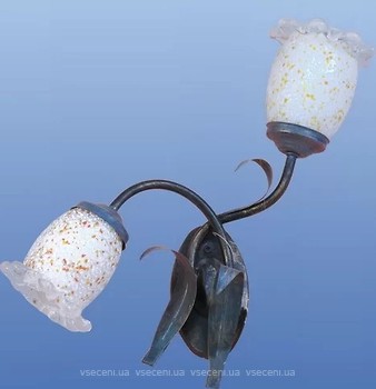 Фото Brille 007/AG/IV/CFB