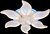Фото Diasha 8028/6 WH