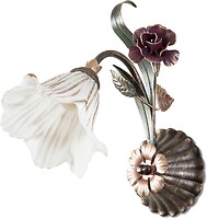 Фото N&B light Квітка Троянди 15601 (15601-cl285-pla39-cp008)
