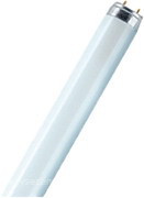 Фото Osram L 36W/640 G13