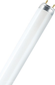 Фото Osram L 8W/640 G13