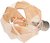Фото Brille LED E27 6W WW G80 COG (32-872)