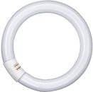 Фото Osram Lumilux T9 C 22W/840 G10q (4008321581082)