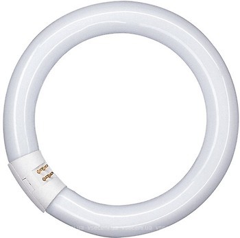 Фото Osram Lumilux T9 C 32W/865 G10q (4008321581167)