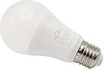 Фото NiteBird WB4 smart bulb 2700-6500K E27 Wi-Fi