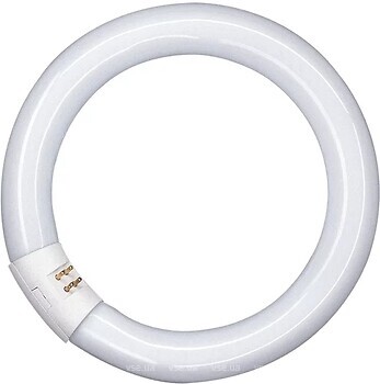Фото Osram Lumilux T9 C L 32 W/840 G10Q (4008321581143)