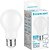 Фото Enerlight Professional A60 10W 4000K E27 (A60E2710FILNFR)
